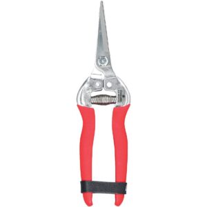 Pruner - Long Straight Snip