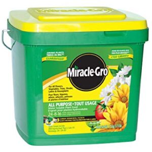 Miracle Gro All Purpose Pail 24-8-16 1.5kg