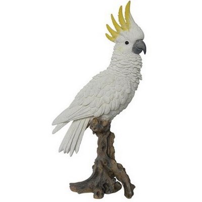 Cockatoo on Branch