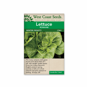 Lettuce Winter Density (OP)