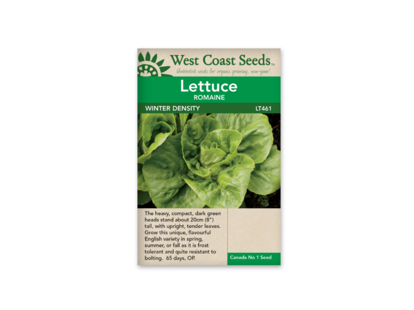 Lettuce Winter Density (OP)
