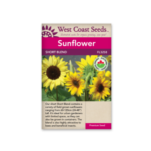 Sunflowers Short Blend Organic Certified