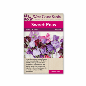 Sweet Peas Bijou Blend
