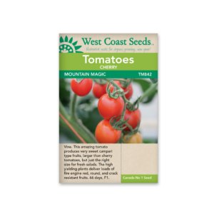 Tomato Mountain Magic F1