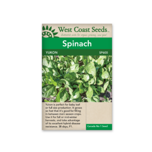 Spinach Yukon F1