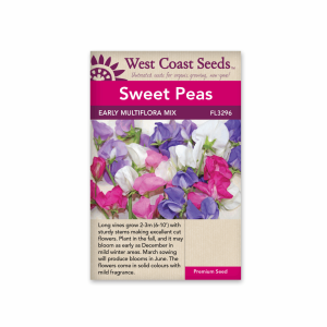 Sweet Pea Early Multiflora Blend