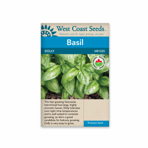 Basil Dolly Organic Certified