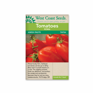 Tomato Amish Paste Roma