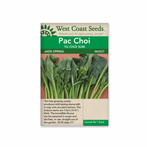 Pac Choi Jade Spring (F1)