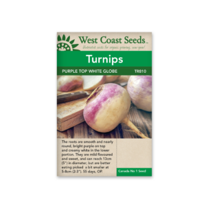 Turnip Purple Top White Globe