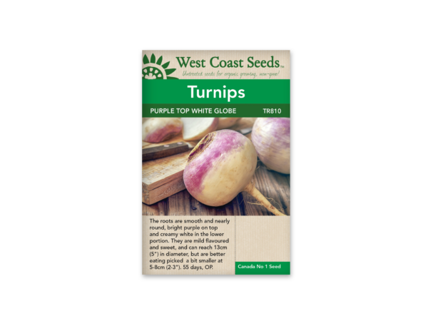 Turnip Purple Top White Globe