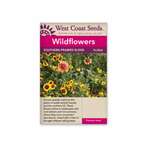 Prairie Wildflower Blend