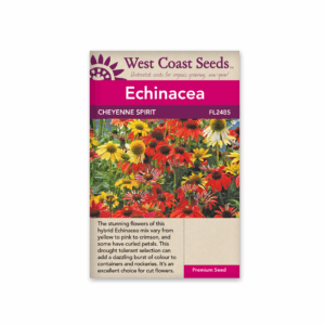 Echinacea Cheyenne Spirit Mix
