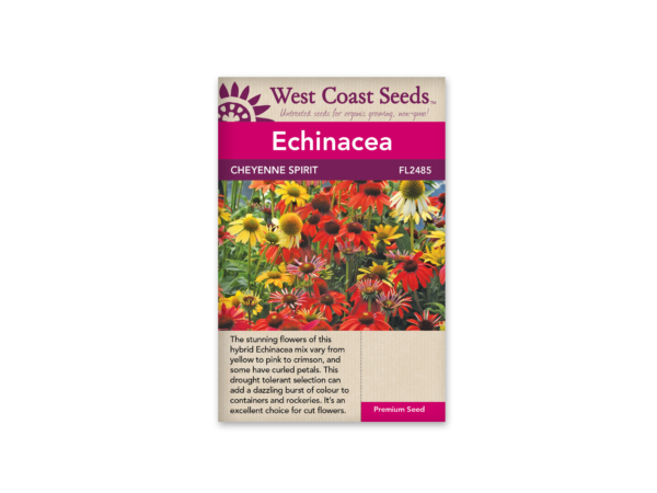 Echinacea Cheyenne Spirit Mix