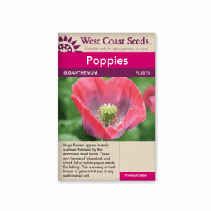 Poppies Giganthemum