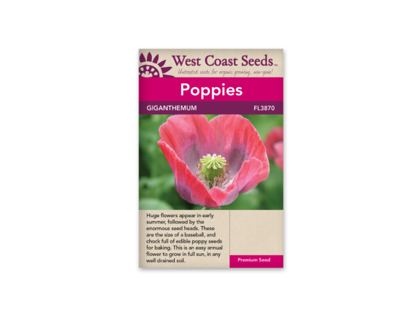 Poppies Giganthemum