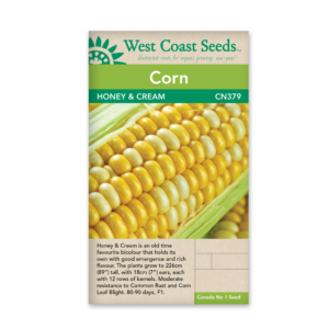 Corn Honey and Cream (F1)