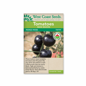 Tomato Indigo Rose Organic Certified (20 seeds)