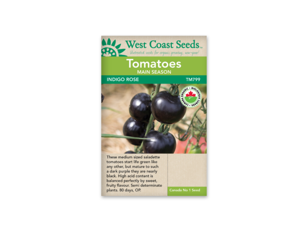 Tomato Indigo Rose Organic Certified (20 seeds)