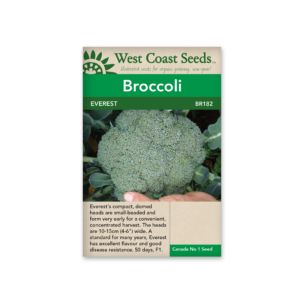 Brocolli Everest F1