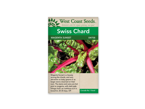 Swiss Chard Magenta Sunset