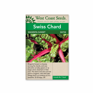 Swiss Chard Magenta Sunset