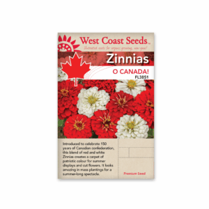 Zinnias Oh, Canada!
