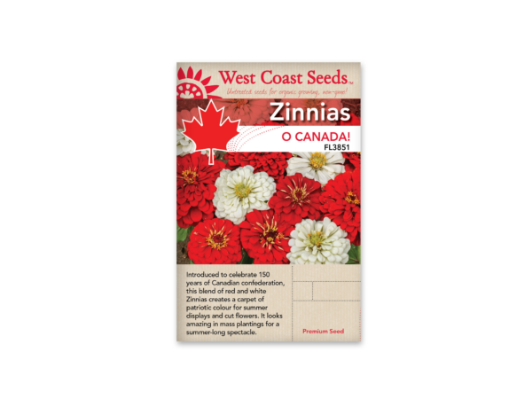 Zinnias Oh, Canada!