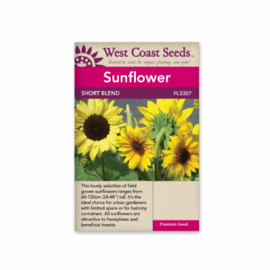 Sunflowers Short Blend