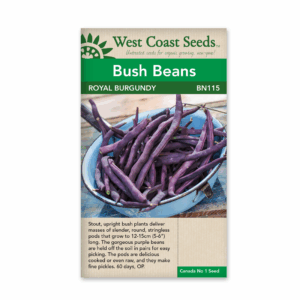 Bean Royal Burgundy (OP)