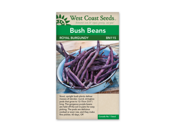 Bean Royal Burgundy (OP)