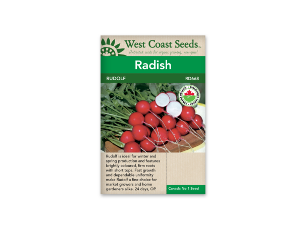 Radishes Rudolf Organic Certified(200 seeds)