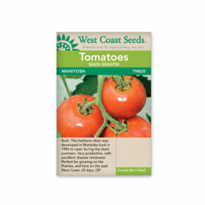 Tomato Manitoba