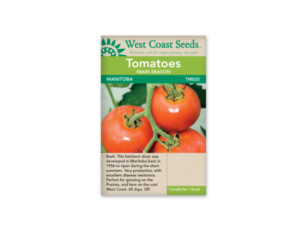 Tomato Manitoba