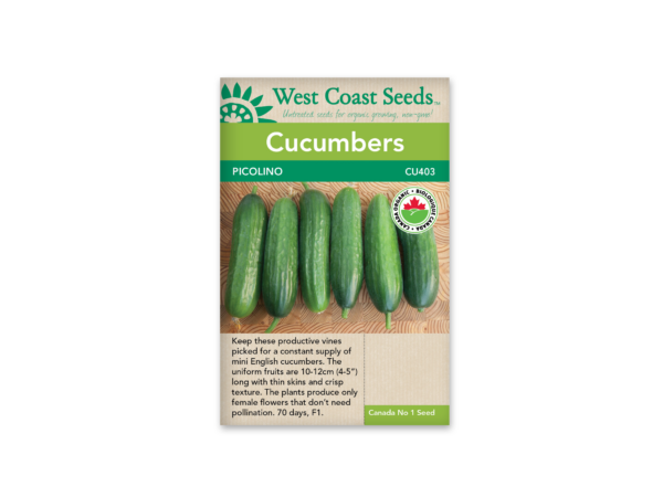 Cucumber Picolino F1 Organic Certified (5 seeds)