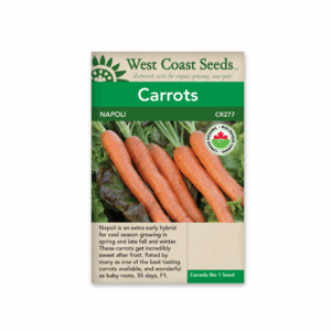 Carrots Napoli F1 Organic Certified
