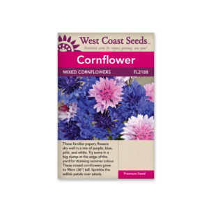 Cornflowers Mixed
