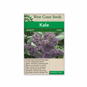 Kale Scarlet Kale