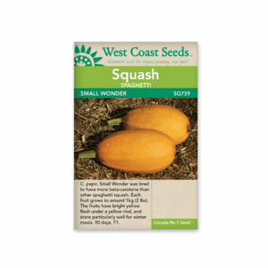 Squash Small Wonder F1