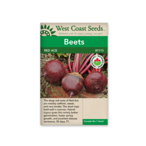 Beets Red Ace (F1) (200 seeds)