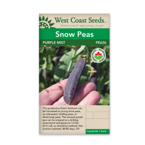 Peas Purple Mist Organic Certified