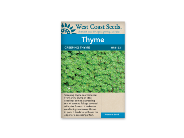 Thyme Creeping Thyme