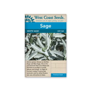 White Sage