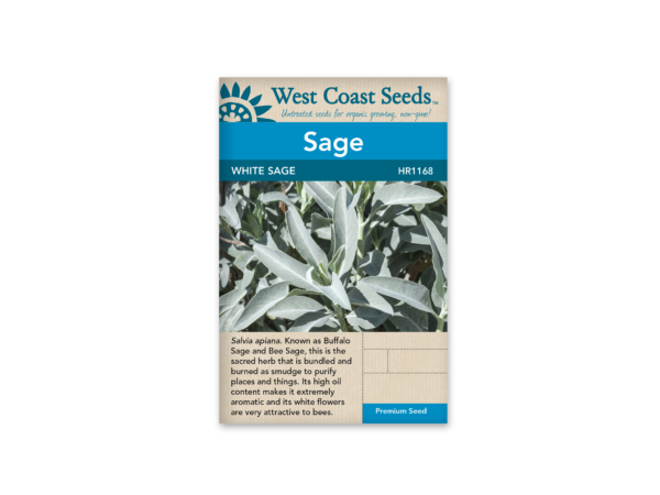 White Sage