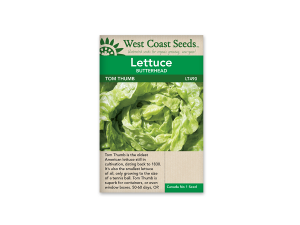 Lettuce Tom Thumb