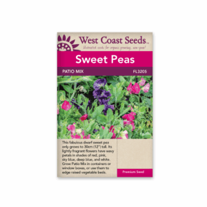 Sweet Peas Patio Mix