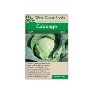 Cabbage Tiara F1 (50 seeds)