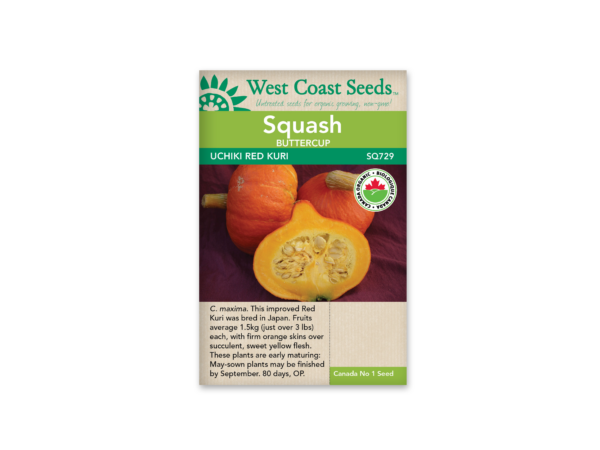 Squash Uchiki Red Kuri Organic Certified