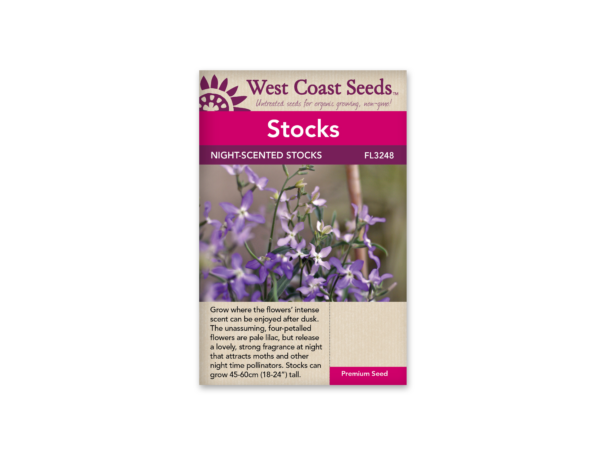 Stocks Evening Scented