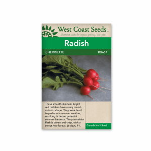 Radishes - Cherriette (100 Seeds) Red